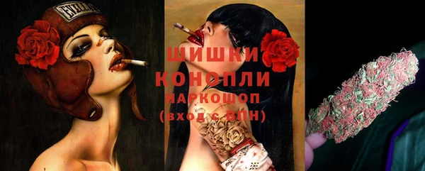 прущие грибы Волосово