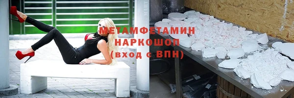 индика Володарск