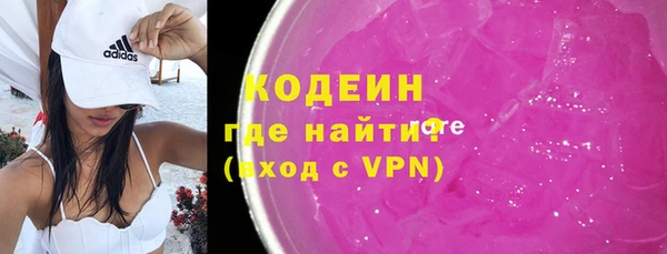 индика Володарск