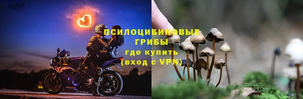прущие грибы Волосово