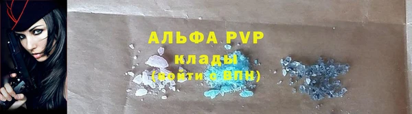 прущие грибы Волосово