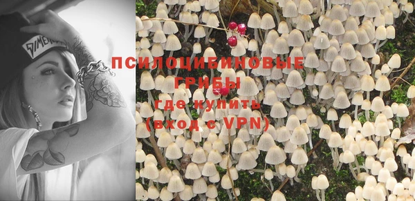 индика Володарск