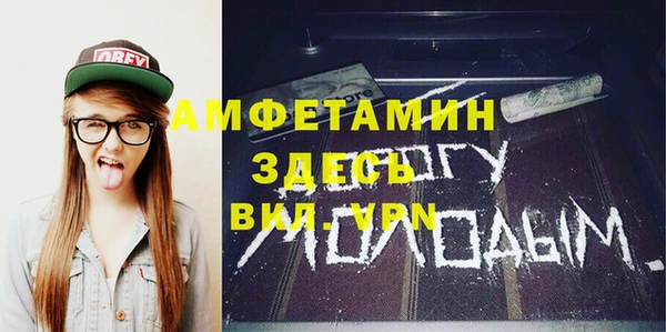 индика Володарск