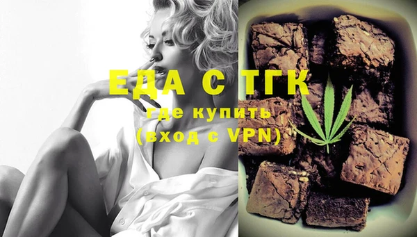 индика Володарск