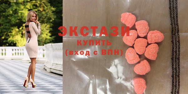 индика Володарск