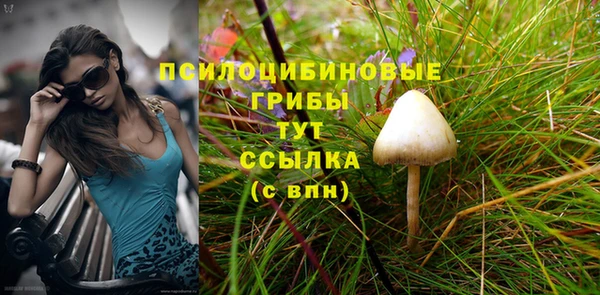 индика Володарск