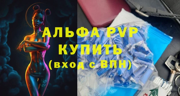 прущие грибы Волосово