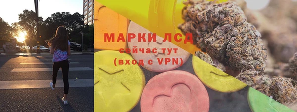 индика Володарск