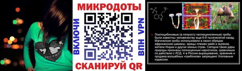 KRAKEN   Каргат  Галлюциногенные грибы Cubensis 